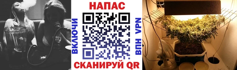 Виды наркотиков купить Ясногорск COCAIN Каннабис Мефедрон APVP omg tor ГАШИШ