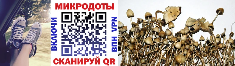 mega вход  наркотики  Ясногорск  Псилоцибиновые грибы Magic Shrooms 